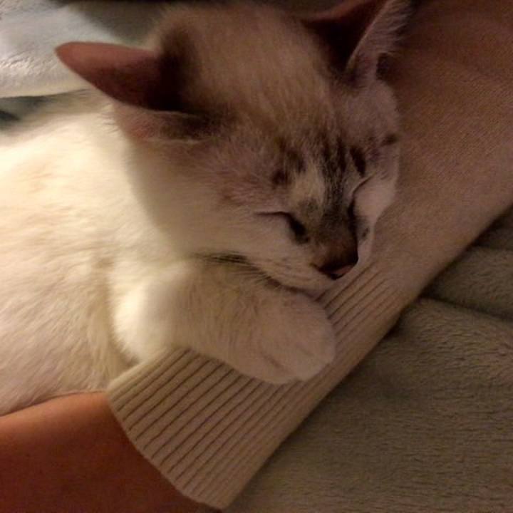 A1dec4d7 1cf5 4725 ac5f 38fa371a9fb8