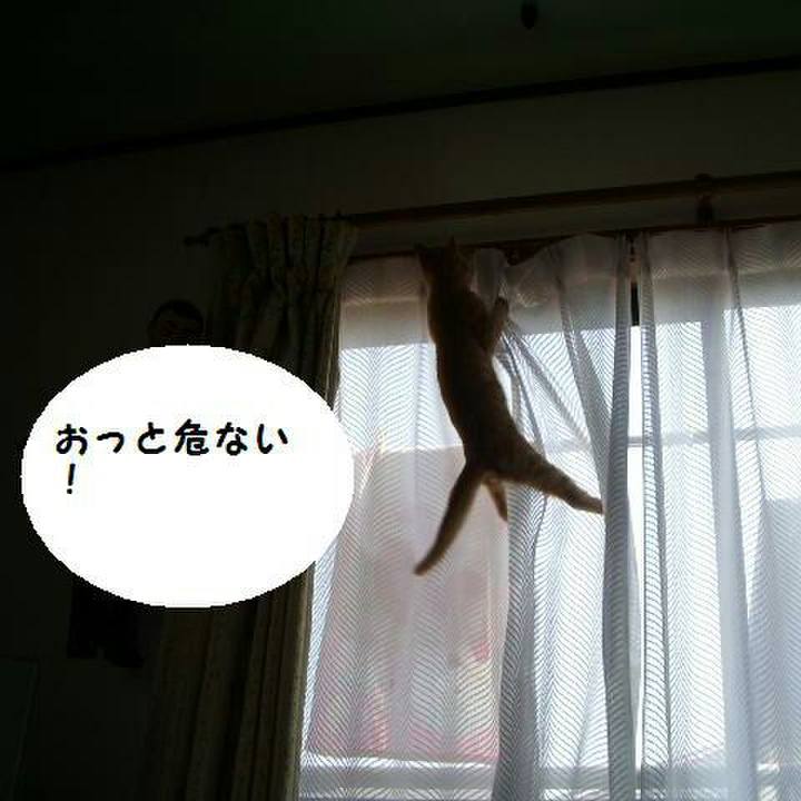 A1df8c6c 8979 46bc a3b5 e7ce93cb0972