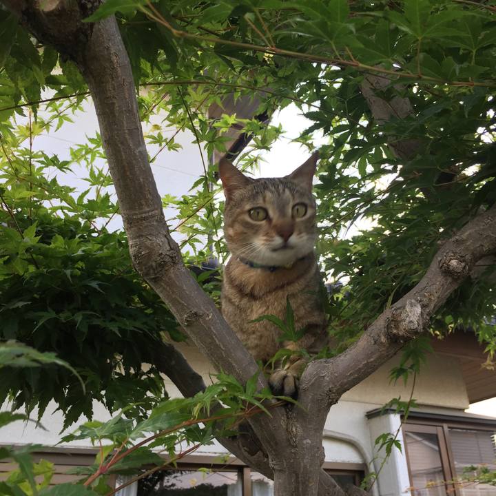 A1dfa015 a759 4f40 9c7c cdf6c019051c