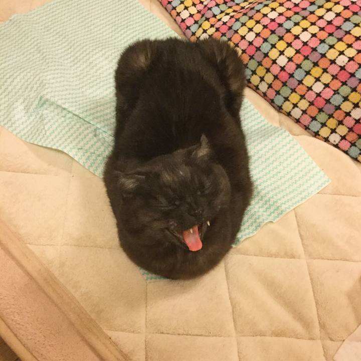 A1e01b2d 60f4 4148 b04c 3afb084fa31f