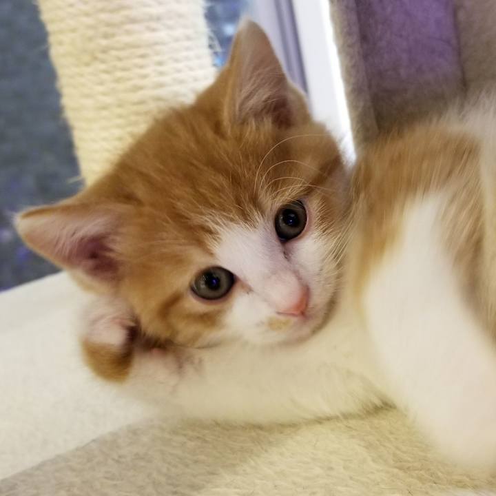 A1e03ae5 19d9 488e bc48 4985d35ae97a