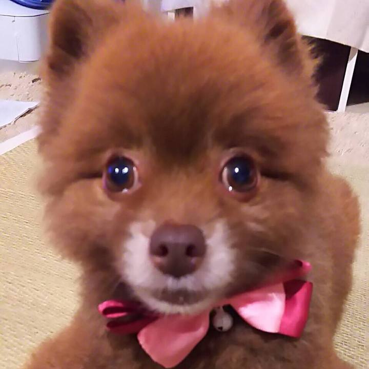 A1e0b6ae d23c 462d bb8e 172926186d4b