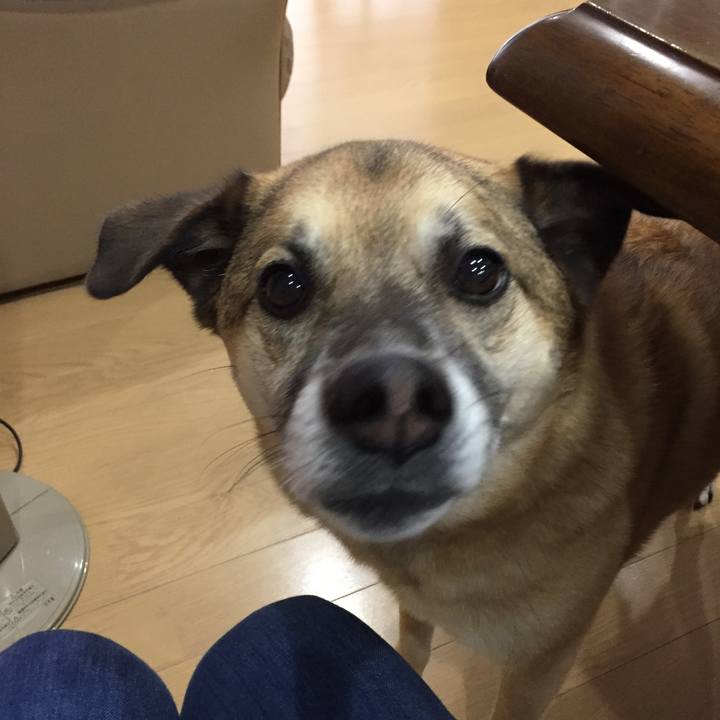 A1e0ba7b eb11 4b58 9fb2 b4e9f6a388b9