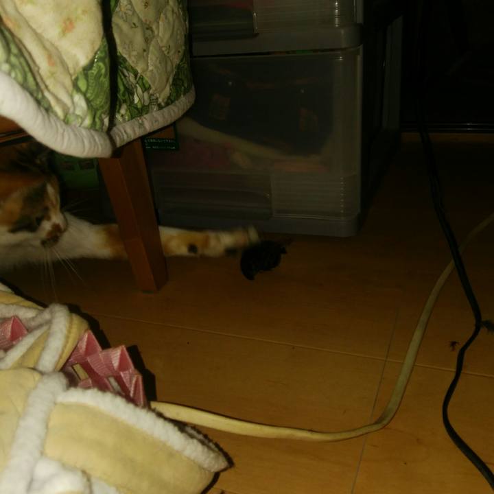 A1e0cb03 ed86 45c6 96c5 4b08416ba70c