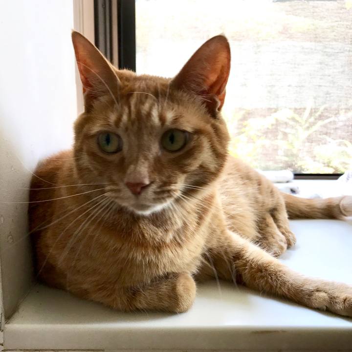 A1e0e3df 174c 4d7b bd7c 011acc5aa599