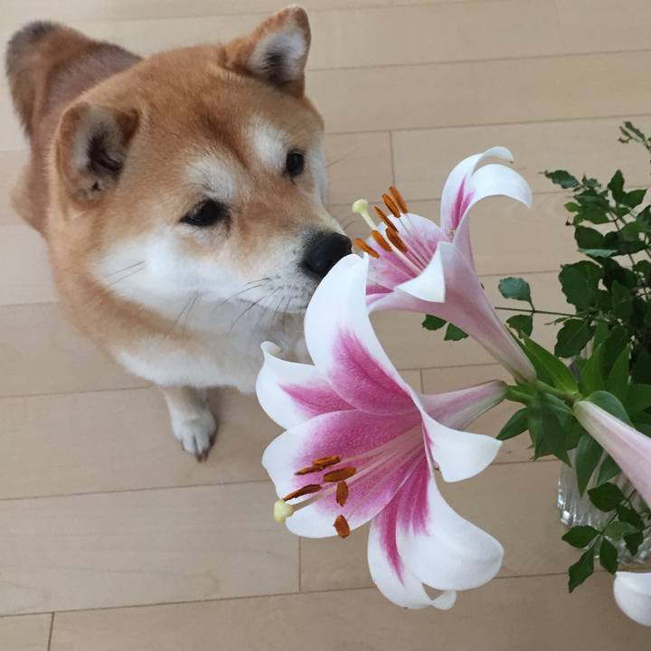 A1e1288b fd1b 44d2 8129 78f0451b2738