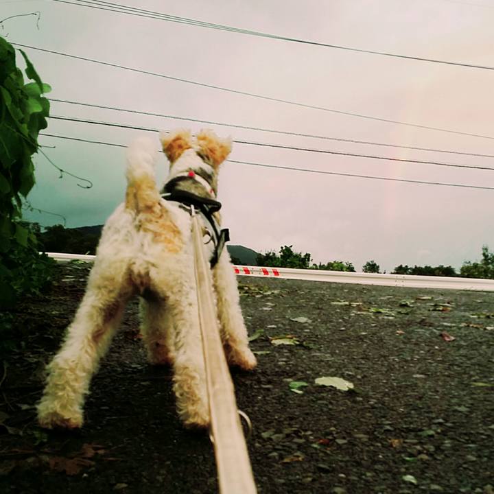 A1e234dc 8969 4389 9d0f 034abb9c00c7