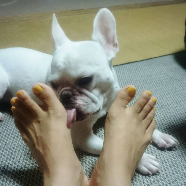 A1e24fdf 72e5 49fa 97ec 39b56a78ef02