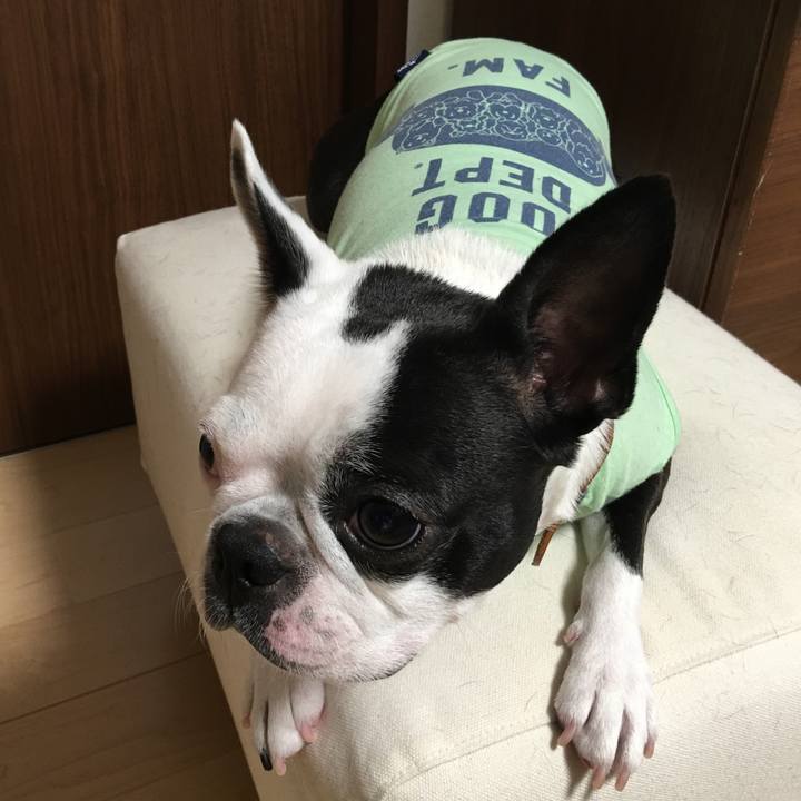 A1e2509c bea7 431d 99e1 096ccb0dbc97