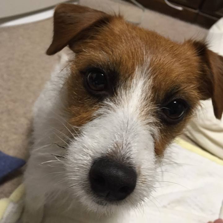 A1e2c6b2 7f2b 4e7f 9df5 fcb55d4f6261