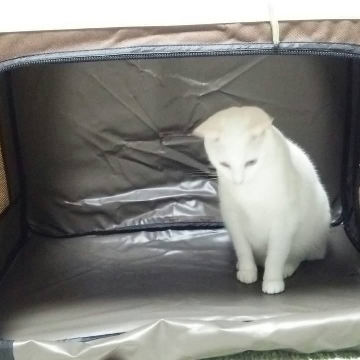 A1e324a4 1e7e 46e1 bffb 25f397e8309d