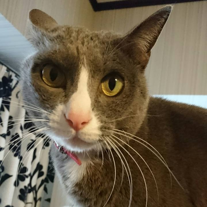 A1e38e92 4be2 4a4f 8321 480549b36920