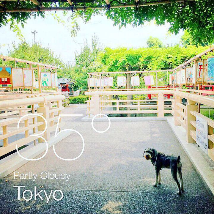 A1e3d1af d0bf 4ea7 a0db bd2fc5ea3fec