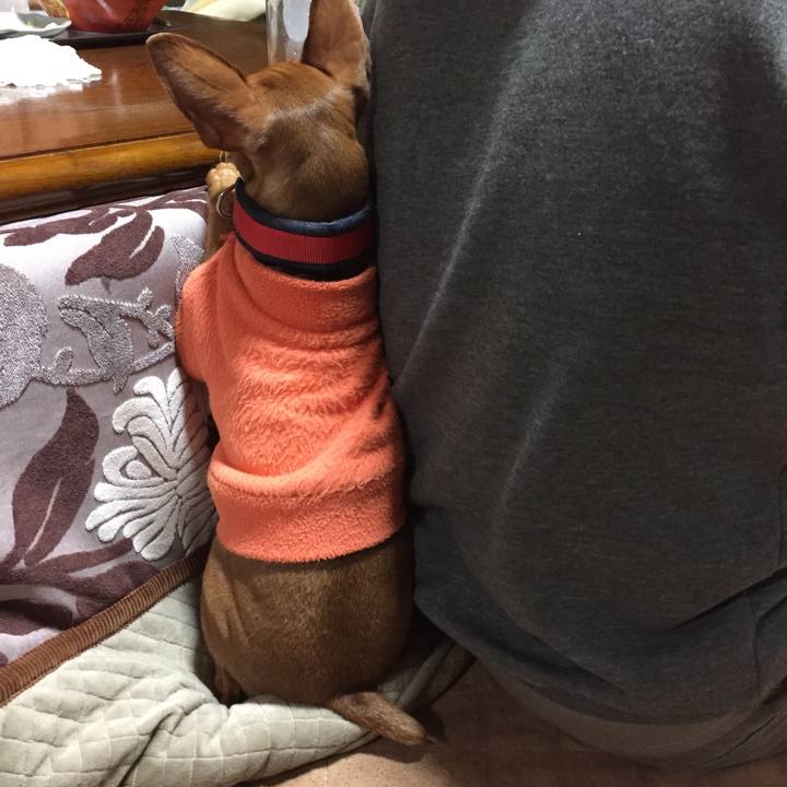 A1e4095d 4d0a 49bc 9082 27f843a9b41e