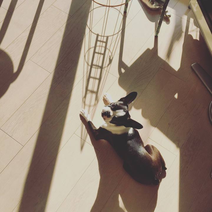 A1e4bb27 66b5 4a1a 9620 729fdf2ae681