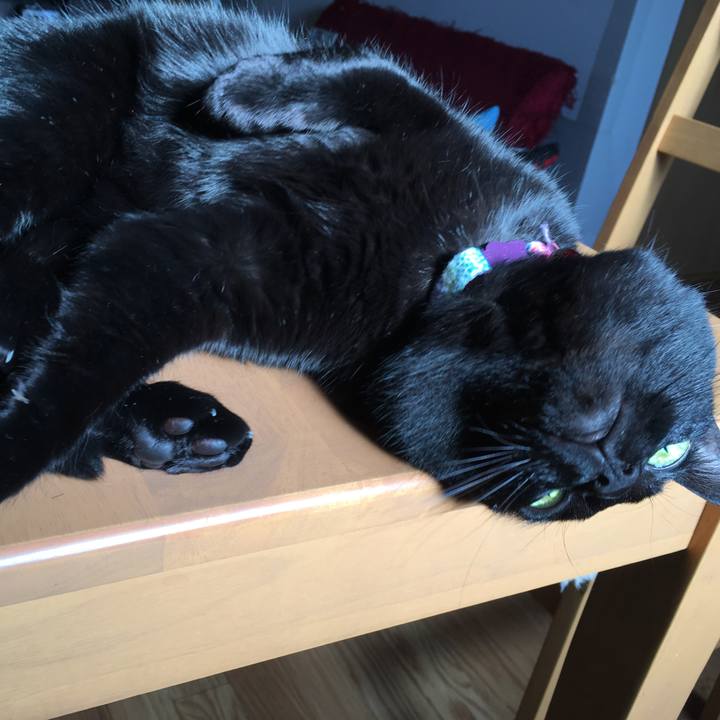 A1e56d12 eff1 44ac bfd5 35e245670365