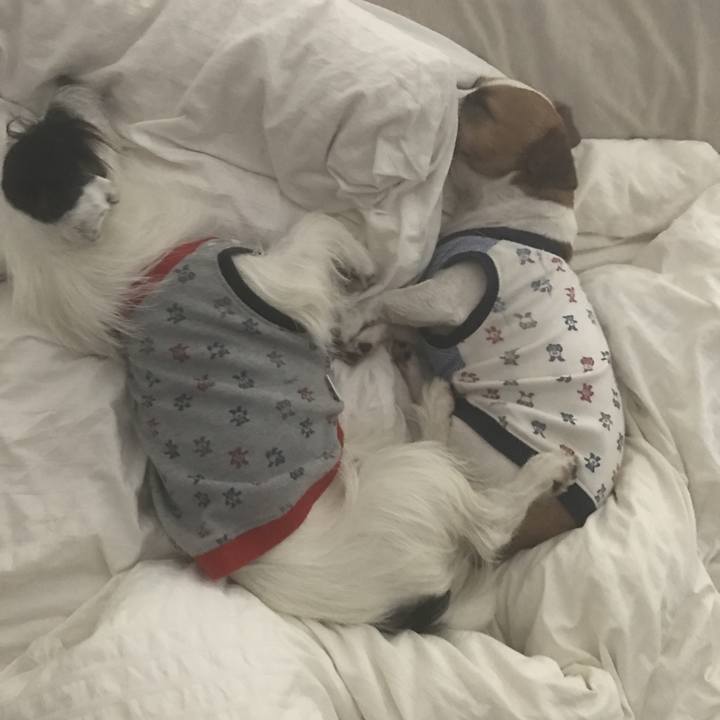 A1e58770 827d 43ae b7e1 7e27f7d6bc72