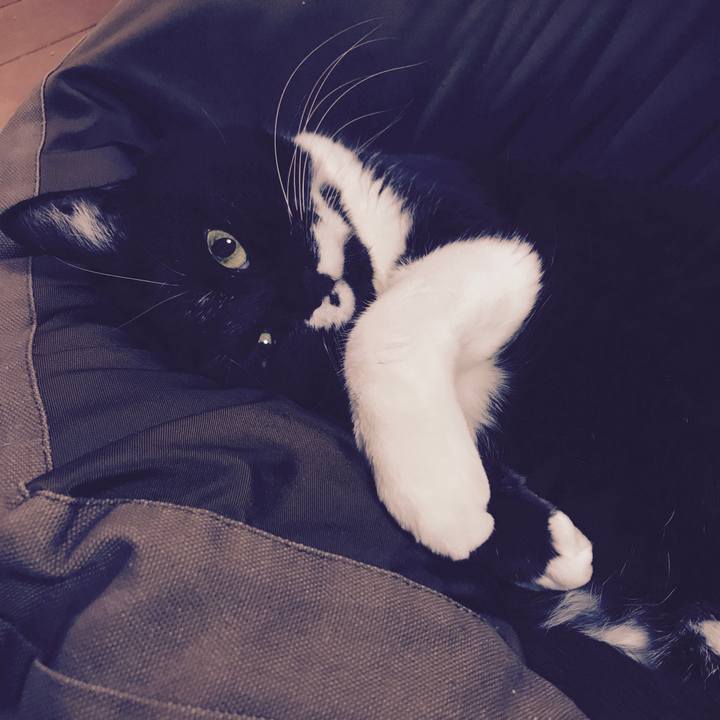 A1e5978e 57a1 4803 9f06 4ca7d6cc169d