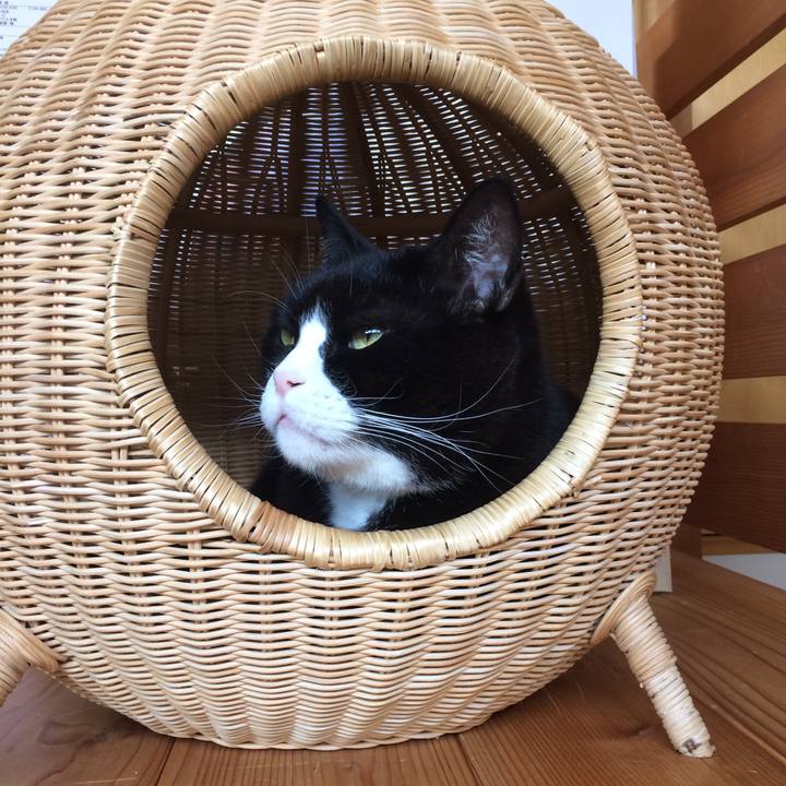 A1e6a785 25fd 44ed 8dd3 452ebdc1e39a