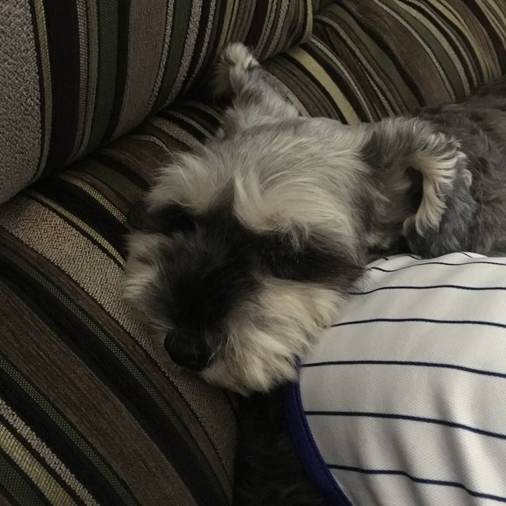 A1e724fd bd2d 4bab a2ab 41621d4f8c4e