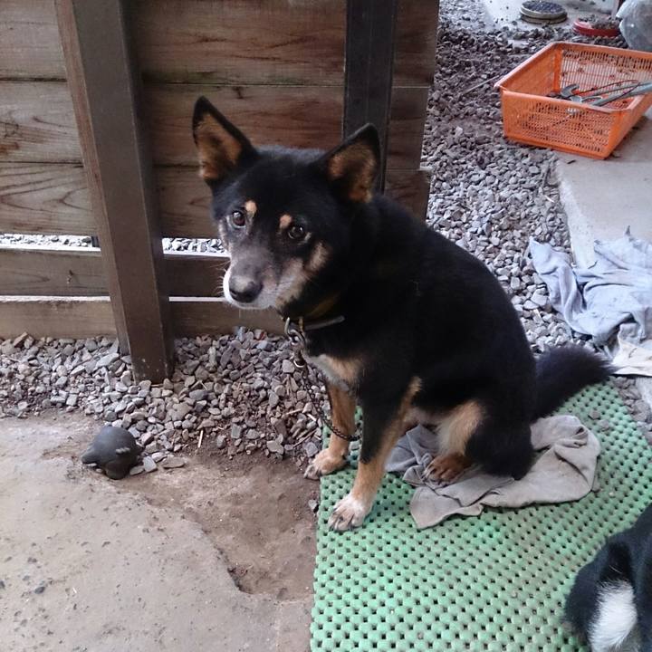 A1e83584 ae4a 431d a063 bdb564cc118f