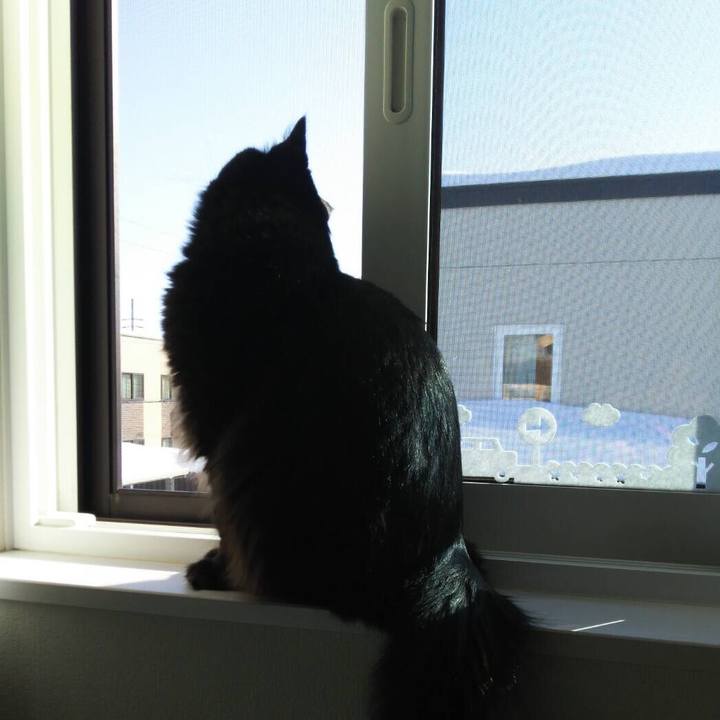 A1e87810 69fb 4a3f 9fb4 3f5eb18efd0c