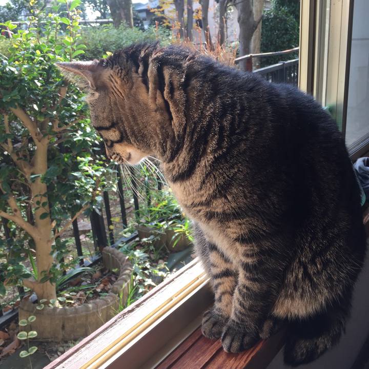 A1e899b9 3d47 4e9d 8969 bd37d0360a12