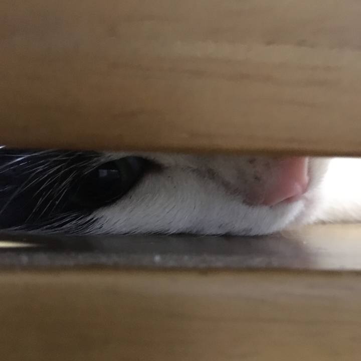 A1e89a51 0324 4d97 b5d4 a62c9d1fbbb1