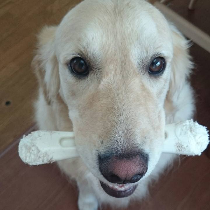 A1e8e591 81fc 4f12 b317 8fb2ee807fff