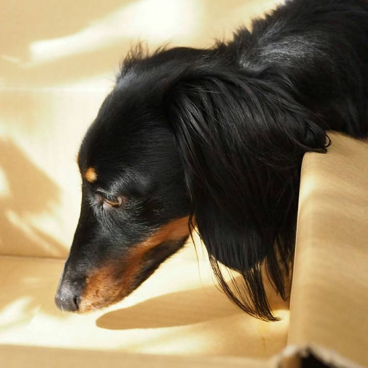 A1e9dffa 8934 48ba a4e0 2a50a254301d