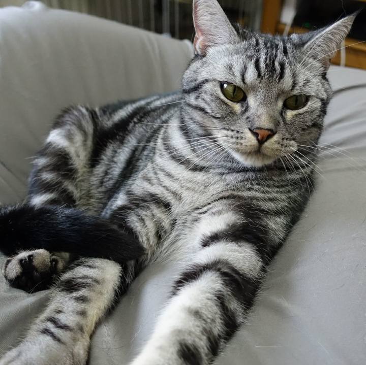 A1ea1b0f 7661 4fa5 bb23 3b2ef45757ec