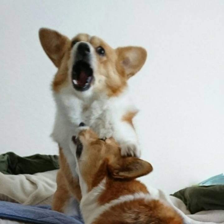 A1ea8446 f9b2 4057 974f e143c092891f