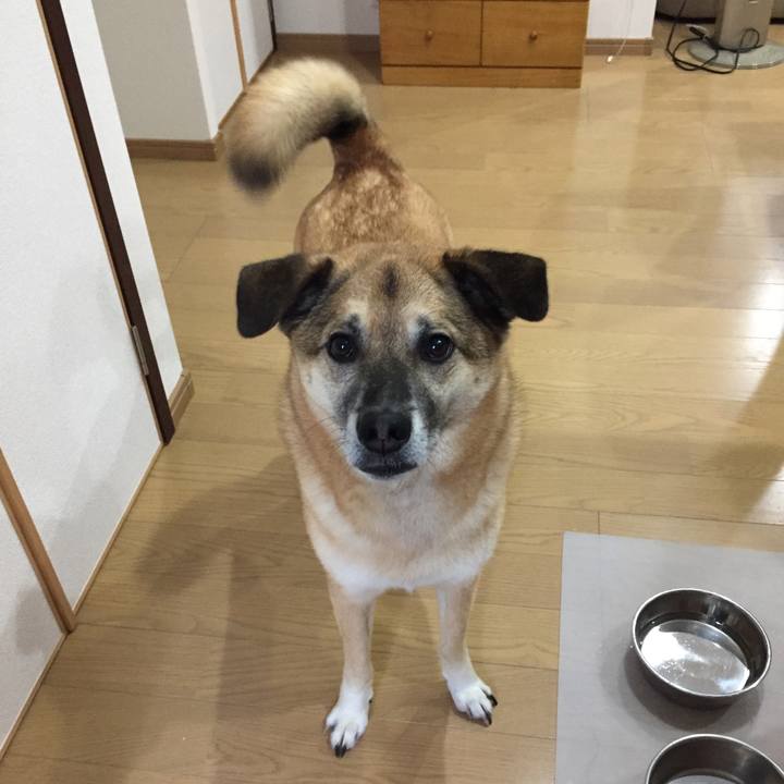 A1ea9f7f 6637 4568 975f 823fcb5814c6