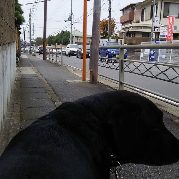 A1eb50e4 ee10 4a8e a937 29d0c0d5038a