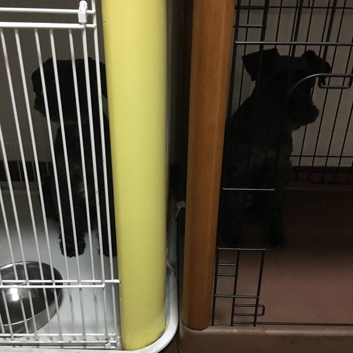 A1eba4ed fd56 4102 968e 7c0fed6aa4a7