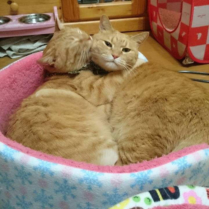 A1ebafab fbec 4eab b63b 2c196cd9c8e4