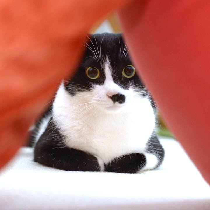 A1ebafd1 688c 4045 ad72 409336c5a4e6