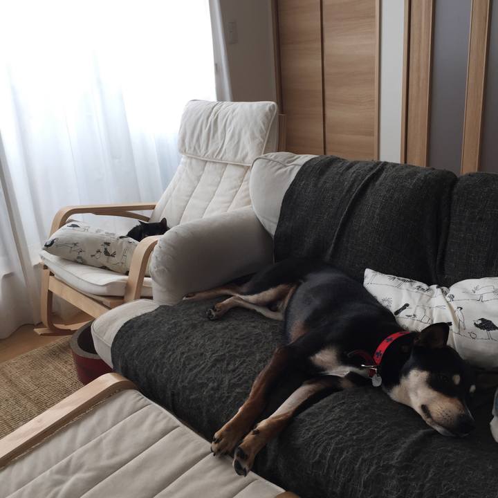 A1ec4f45 d56f 486a bc87 397d733e23e7