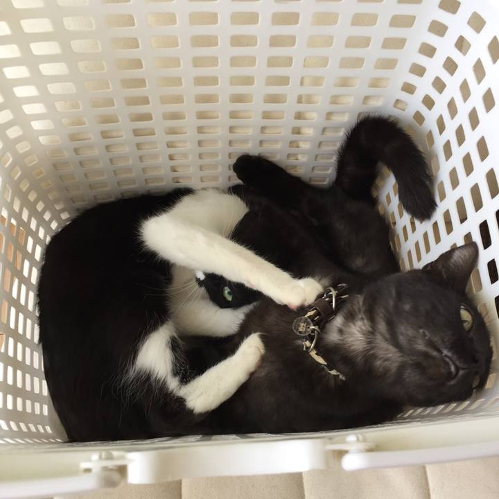 A1eccaa5 5f32 4f43 b5ed d42a3fb10b83