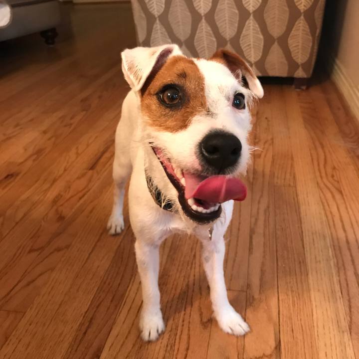 A1ecd186 56ea 4483 ba9f 082ebd7387e0