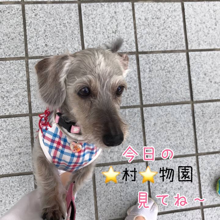 A1ecf226 cb50 4f06 9bee 7b7f5d25e2d5