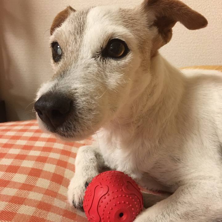 A1ed054a 008b 427f 81bf 04ab961dd273