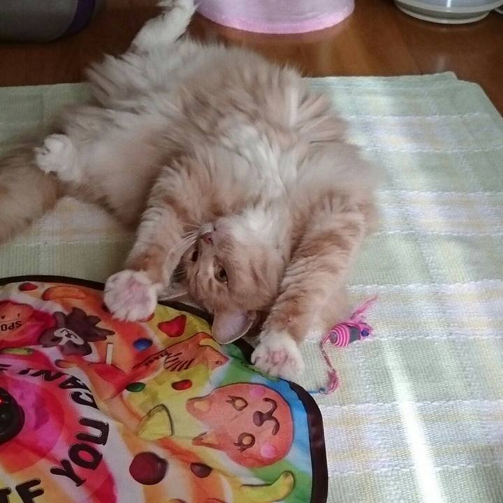 A1ee2e2c 6bab 40c7 bc19 5a40a74a0dfa