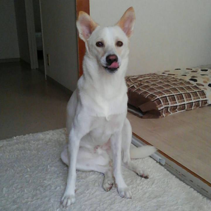 A1ee59d9 b2e4 4992 883d 418288c265af