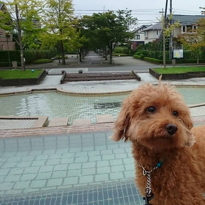 A1eeab65 0117 421c aa39 b25cc265df19