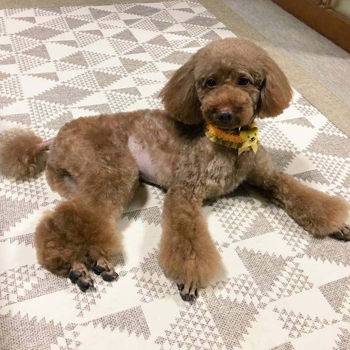 A1ef3078 8fd5 4ae7 b47e 1094396e5257