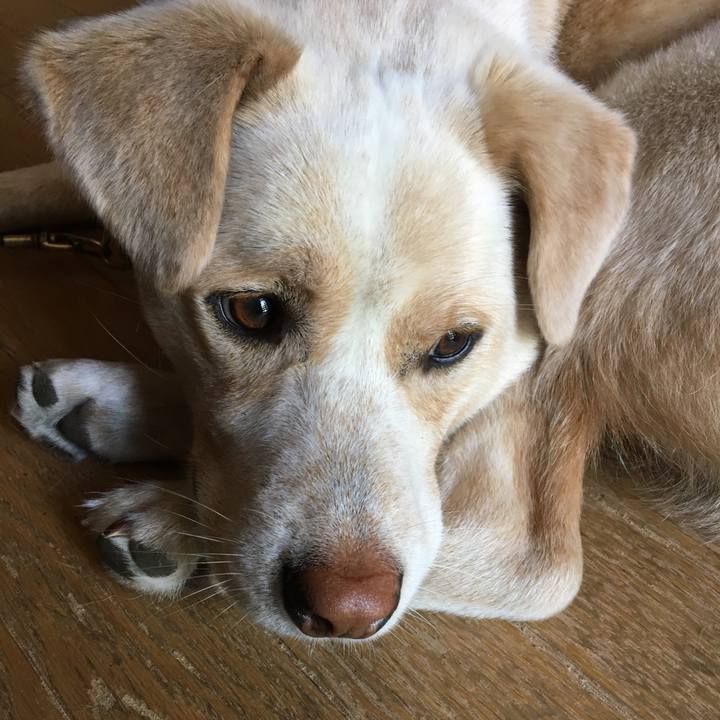 A1ef390c 67dd 4324 80e2 687dee03e440