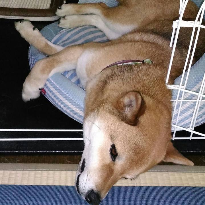 A1f03459 3f51 4468 8fcc 76a3212a935d