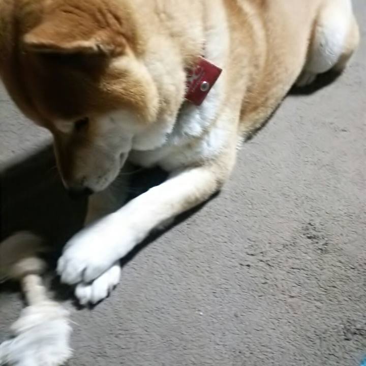 A1f12773 a026 447e 942b 00928be46d27