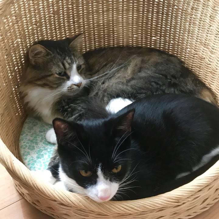 A1f12ab9 204d 4d6c ab5a 7a3f4f267d07